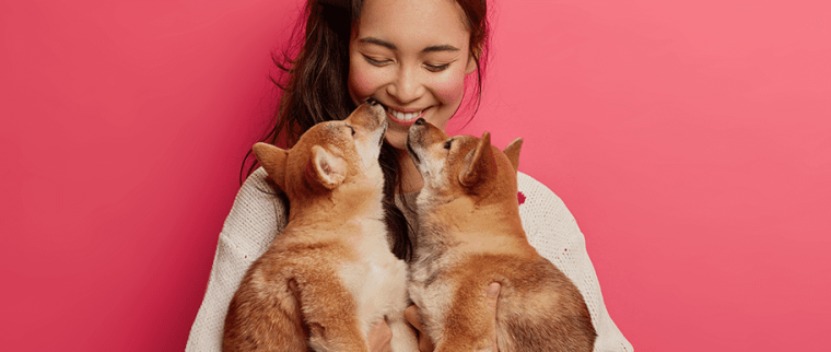 Cohabitation des chiens